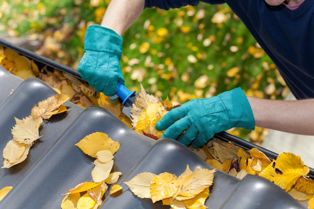 Leaf's in gutter